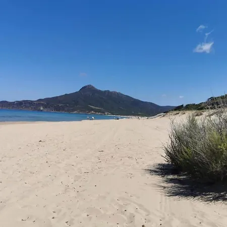 Il Glicine * Портишедду