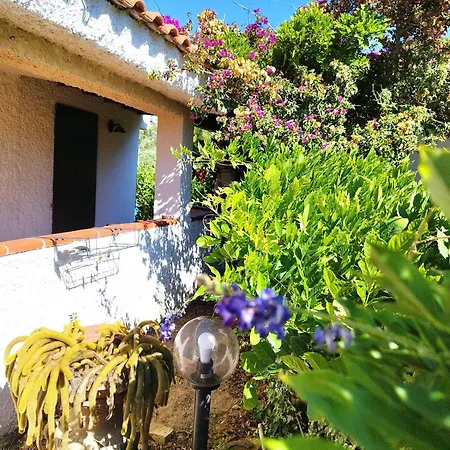 Il Glicine Портишедду